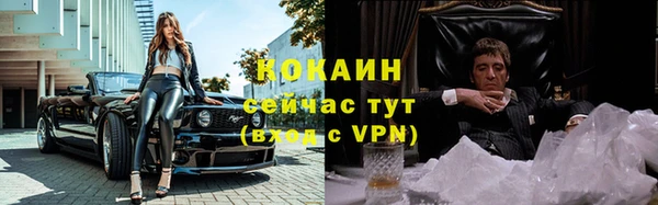 бошки Алзамай