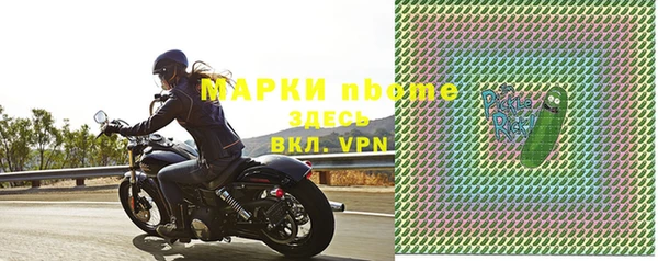 мет Алексин