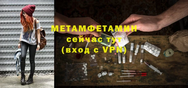 мет Алексин