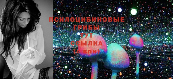 бошки Алзамай