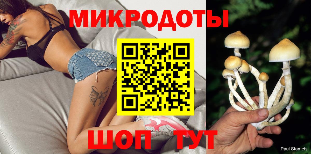 Галлюциногенные грибы MAGIC MUSHROOMS Ейск