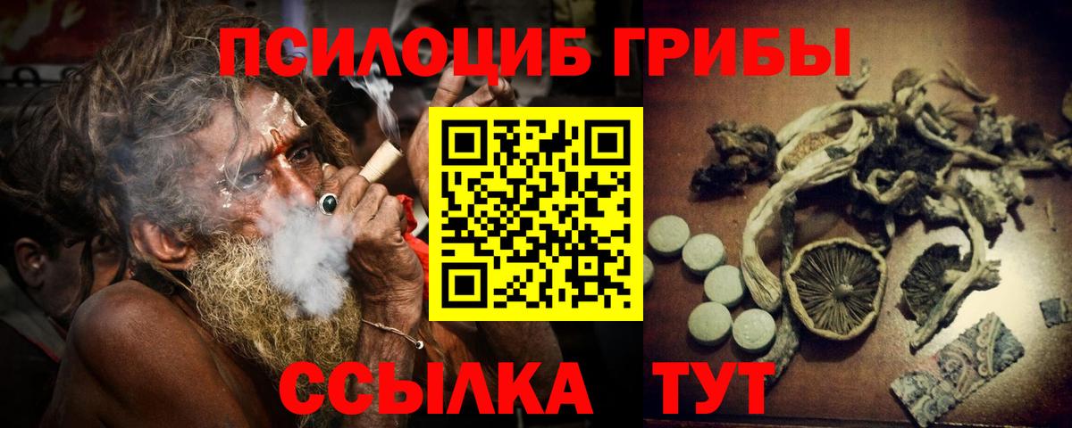 Псилоцибиновые грибы Psilocybe  Вход с VPN  Ейск 